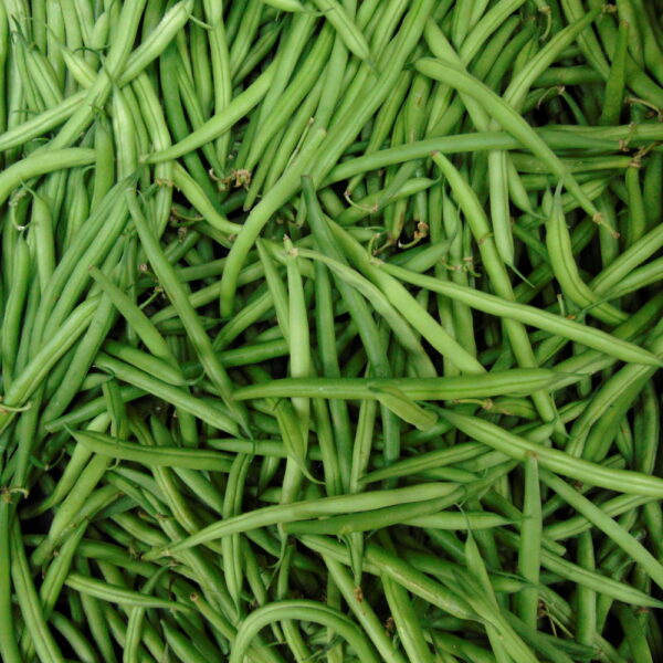Haricot vert 500g