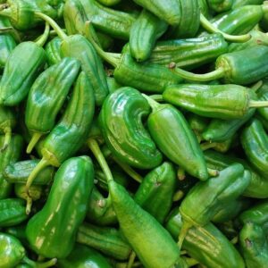 Piment type de Padron 100g