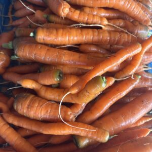 Carottes 500g