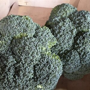 Chou brocoli