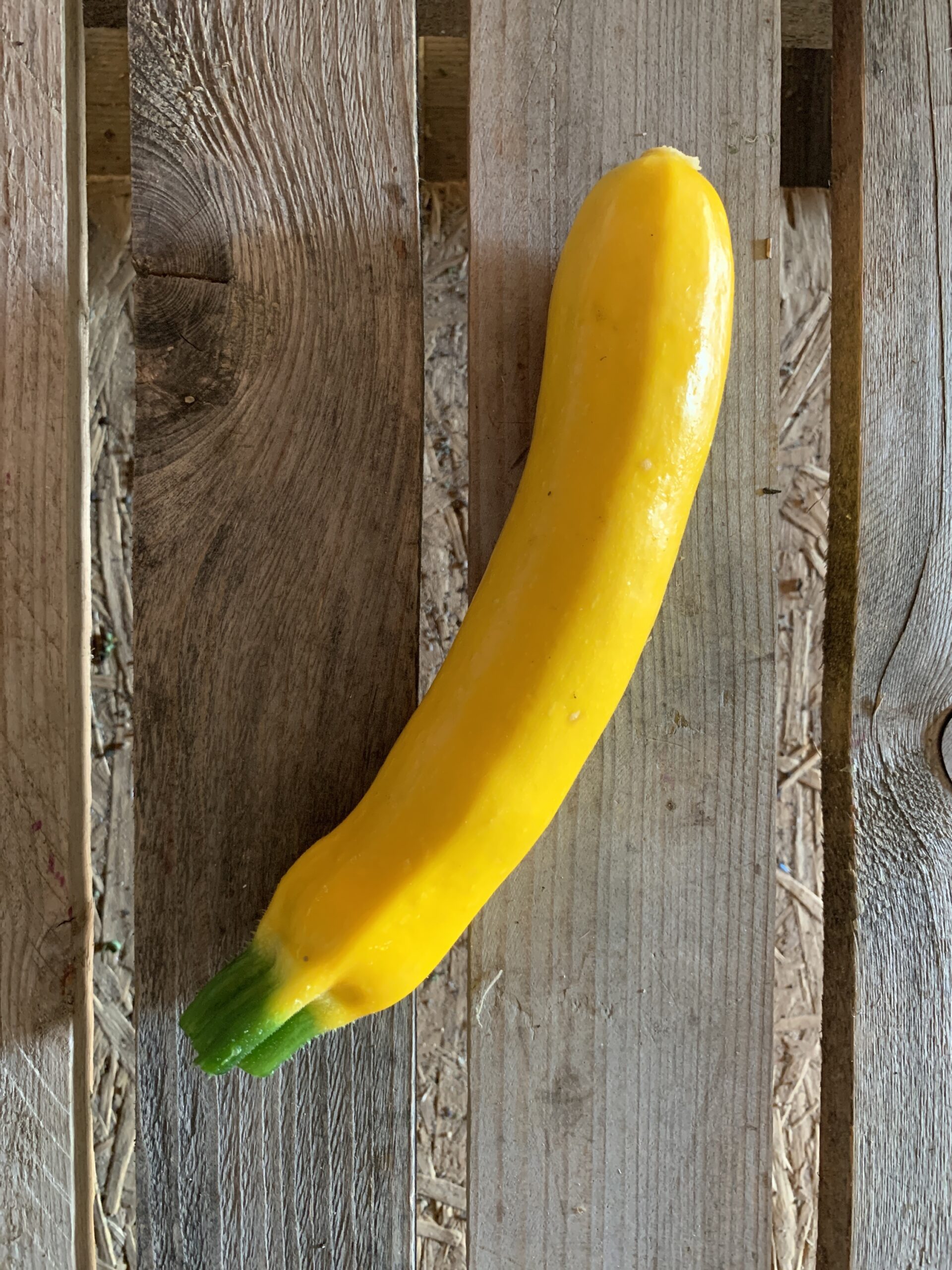 Courgette jaune 500g