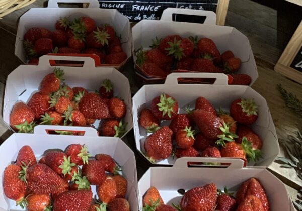 Fraises 250g