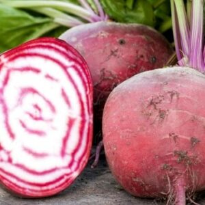 Betterave Chioggia 400g