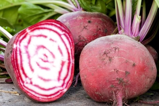 Betterave Chioggia 400g