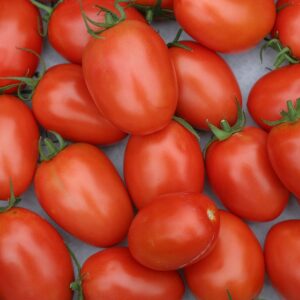 Tomates Roma 500g