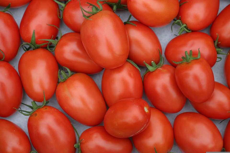 Tomates Roma 500g
