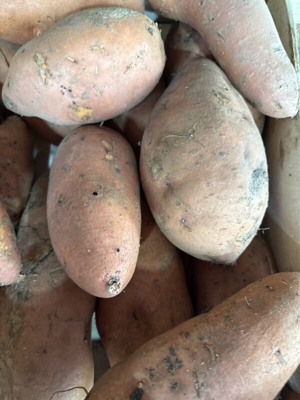 Patate douce 750g