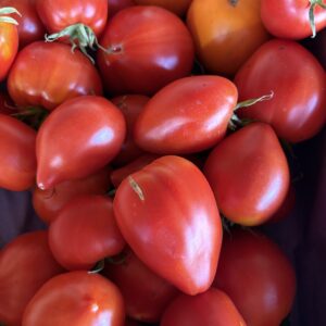 Tomates Cœur de Bœuf