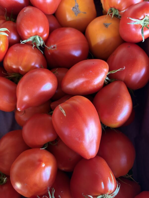 Colis 5KG Tomates anciennes – Image 2