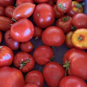 Colis 5KG Tomates anciennes