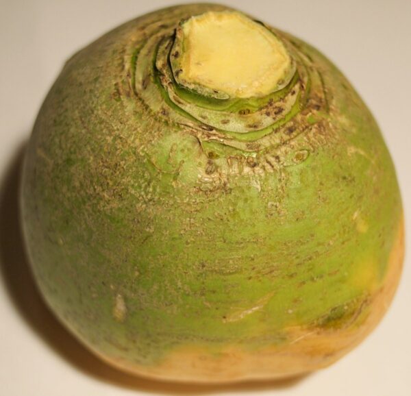 Rutabaga