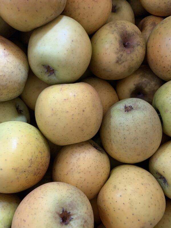 Pommes Delisdor