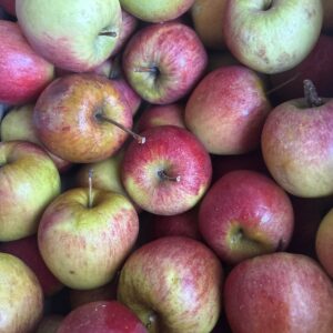 Pommes Ariane