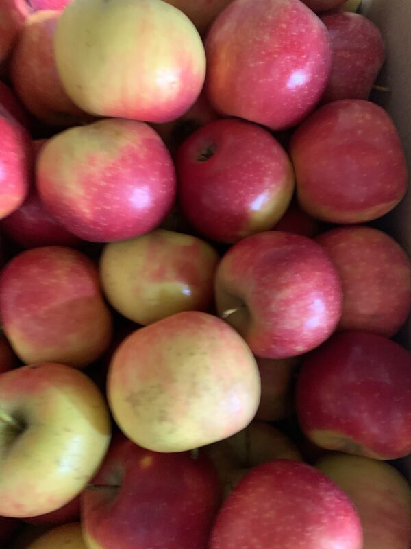 Pommes Ariane