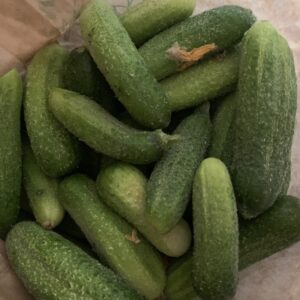 Cornichons gros