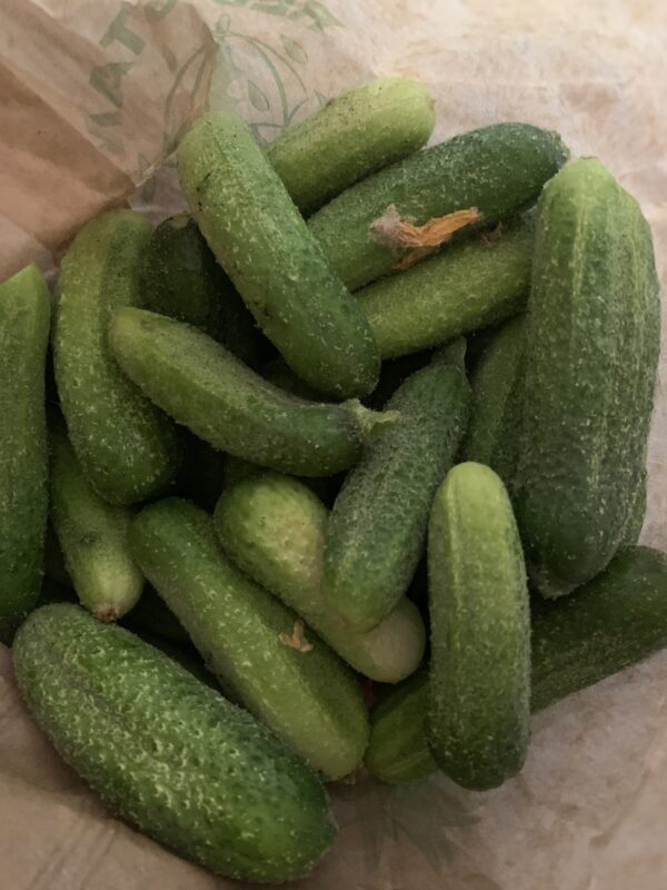Cornichons gros