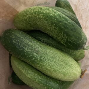 Cornichons très gros