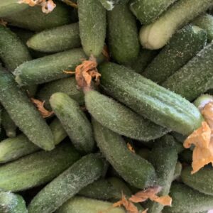 Cornichons petits/moyens