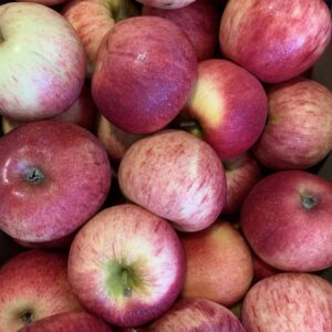 Pommes Gala