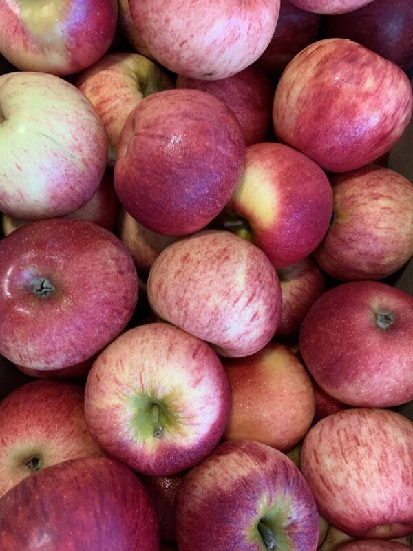 Pommes Gala