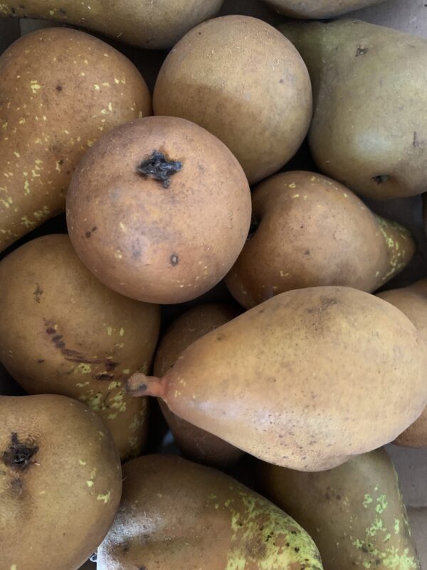 Poire Morgane 1kg