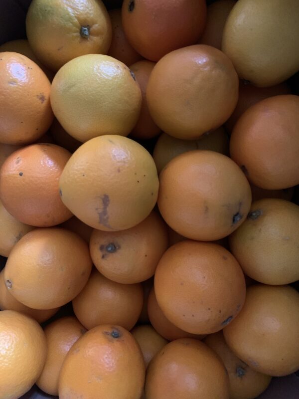 Oranges 1kg