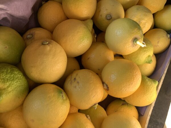 Citron jaune
