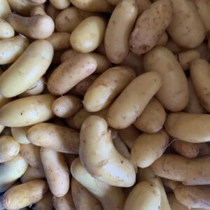 Pomme de terre nouvelle 500g
