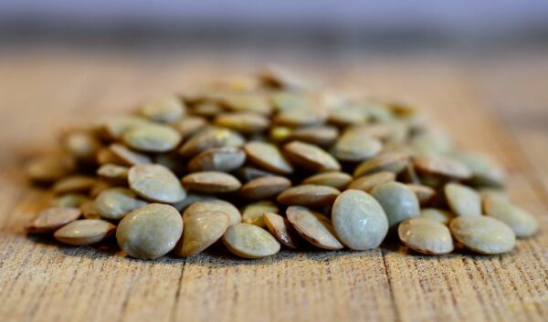 Lentilles vertes