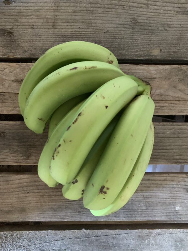 Banane Cavendish