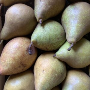 Poire Xenia 1kg