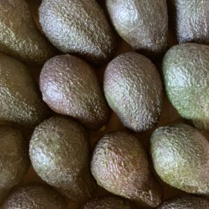Avocat