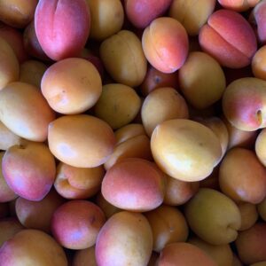 Abricot 500g