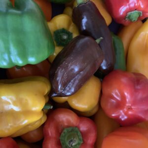 Poivron couleurs variées 200g