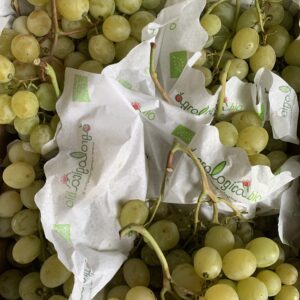 Raisin blanc 500g