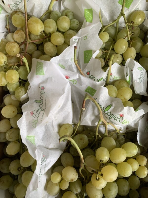 Raisin blanc 500g