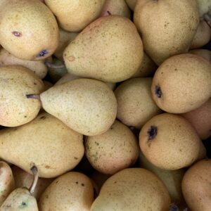 Poire Guyot