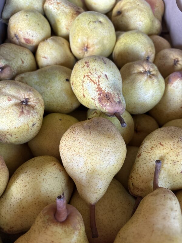 Poire Williams