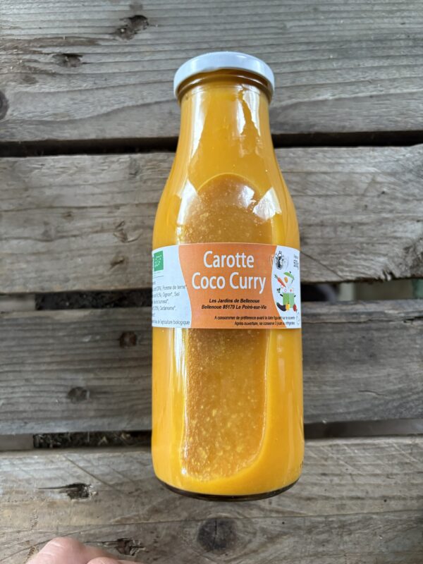 Soupe carotte coco curry – Image 2