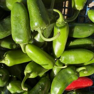 Piment Jalapeño