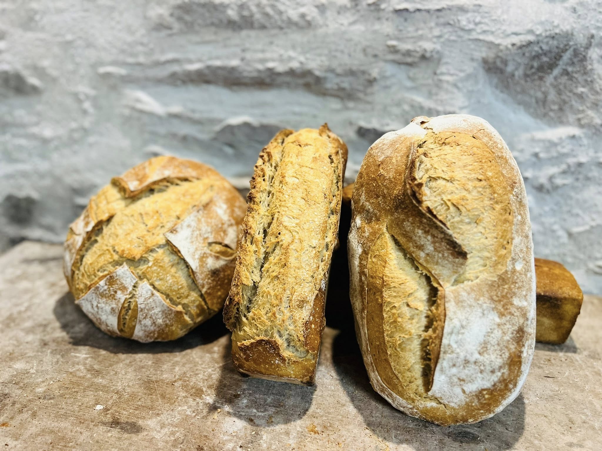 Pain nature T80 1kg long – Image 2