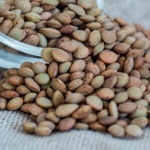 Lentilles vertes