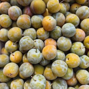 Prune Reine-claude 500g