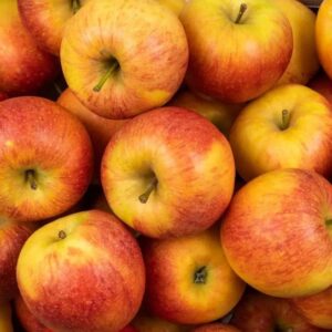 Pommes Daliclass